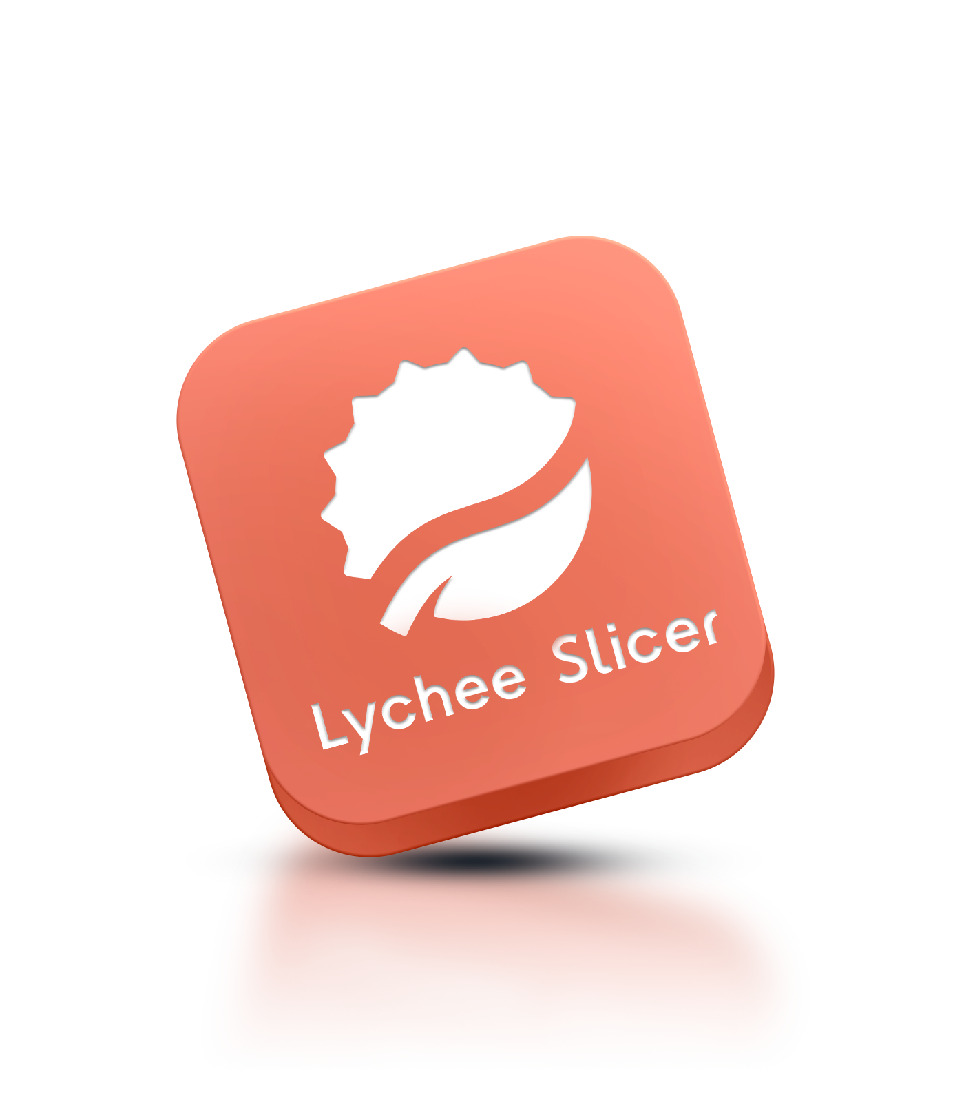 Lychee Slicer Software