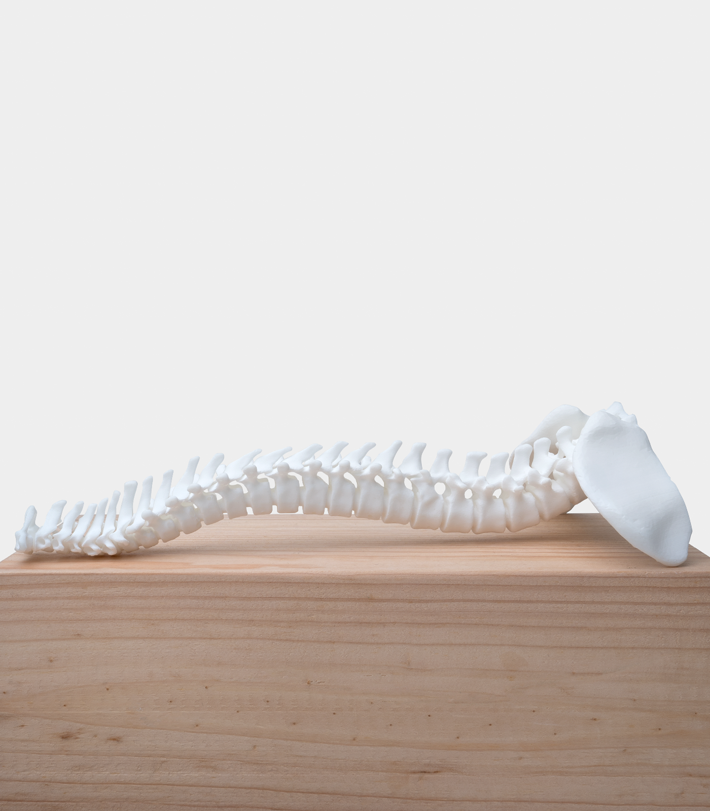 Phrozen Ceramic White 3D Printing Resin