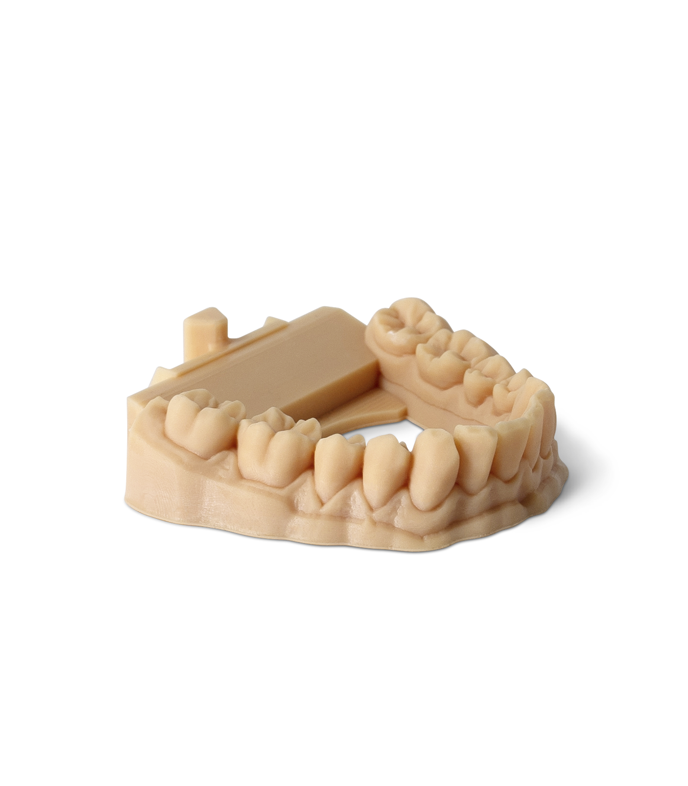 Phrozen Water-Washable Dental Model 3D Printing Resin