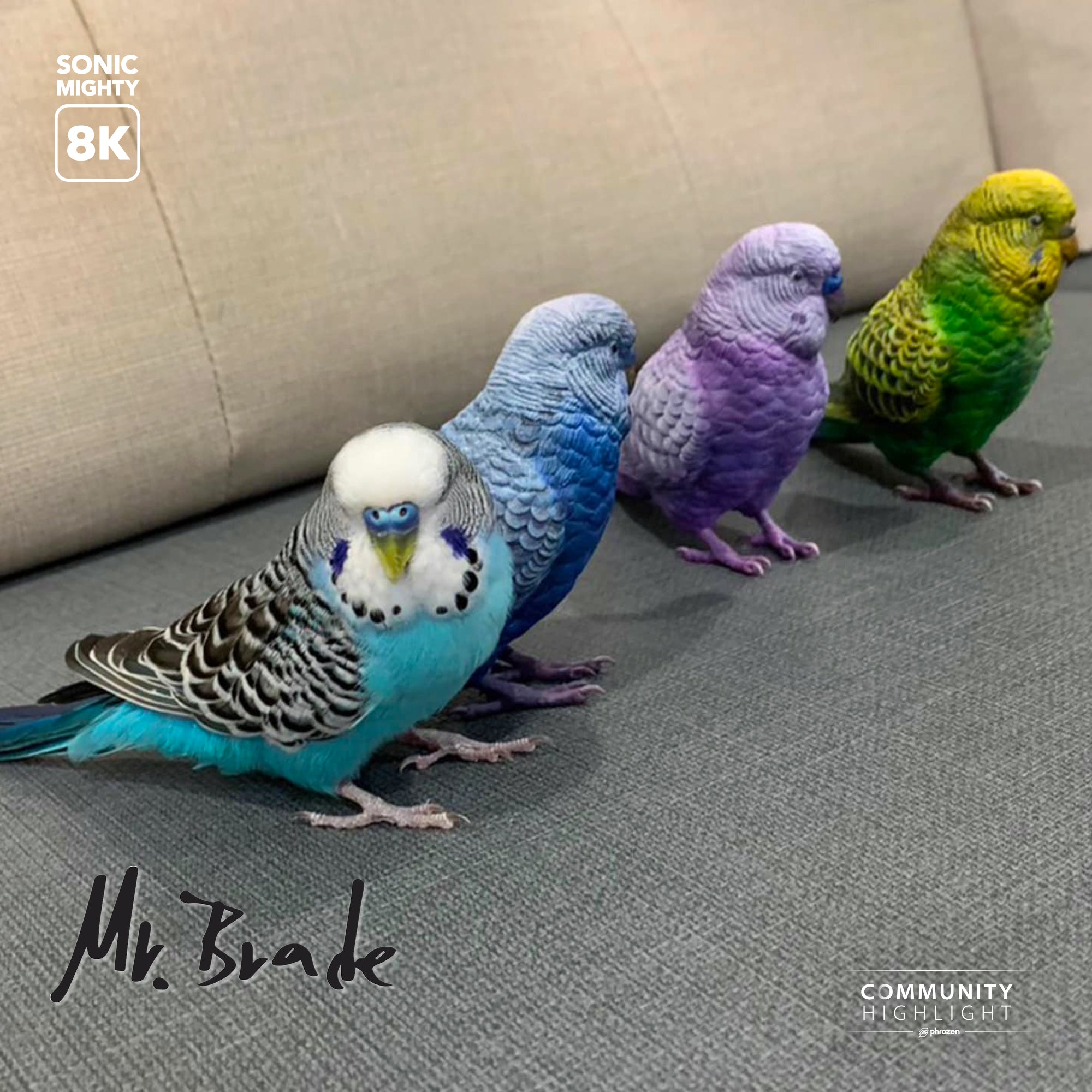 Realistic 3d printed parakeet models