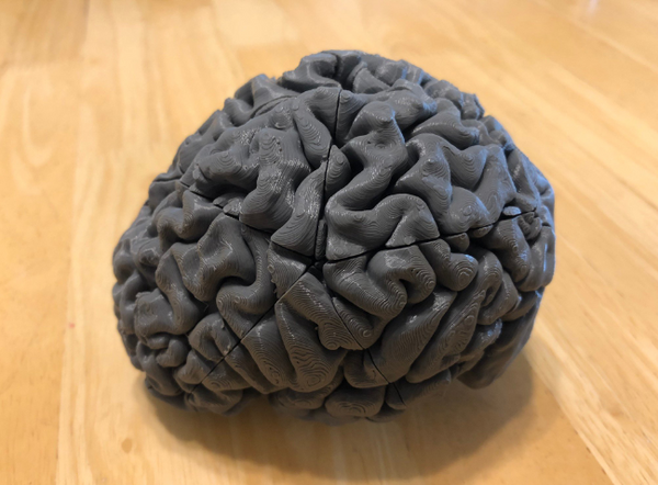 Awesome 3D print of a brain-shaped puzzle for both educational and entertainment purposes.