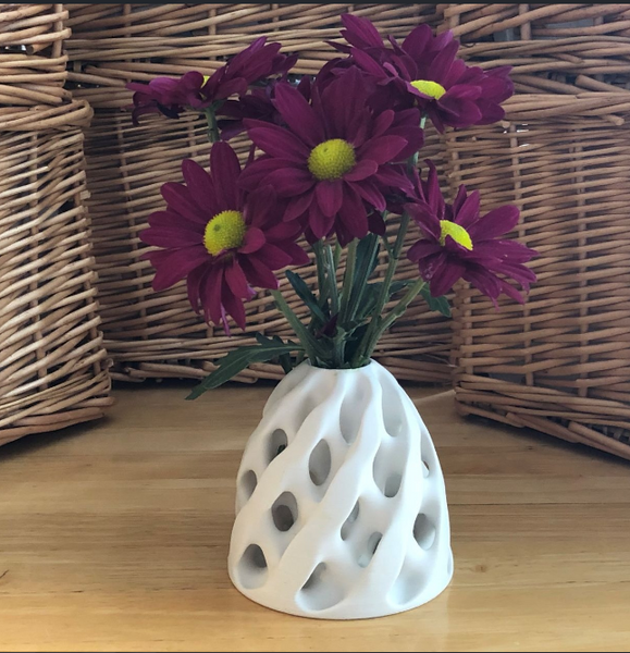 Cool 3D printed stuff artistic vase with a reticulated design, ideal for home decor.