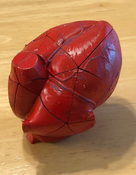 Cool 3D printables anatomical heart puzzle that’s both educational and fun to assemble.