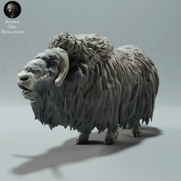 Coolest 3D prints of a realistic musk ox ram, perfect for wildlife enthusiasts.