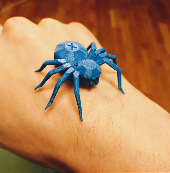 Cool 3D printables spider model designed to test 3D printer capabilities with intricate details and overhangs.