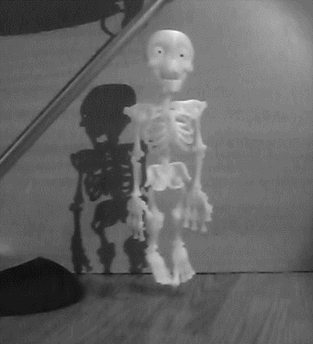 Movable Assembled Skeleton