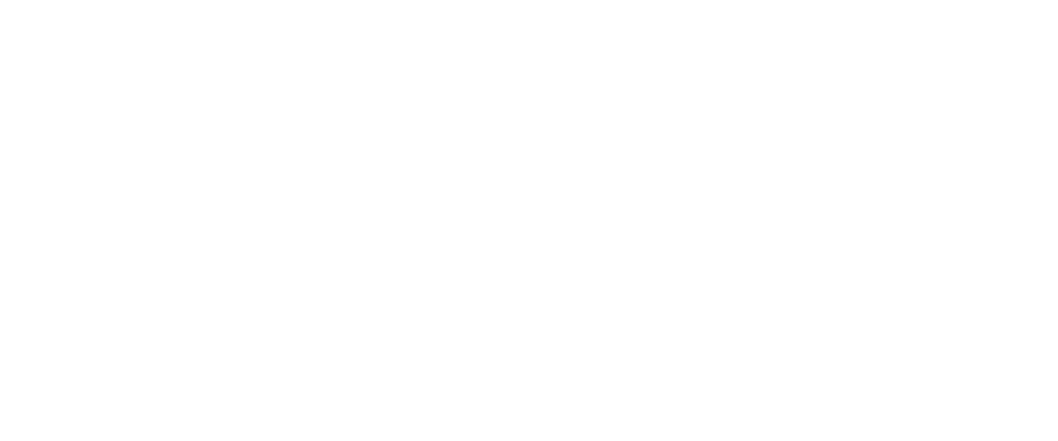 Alexsons International Enterprises