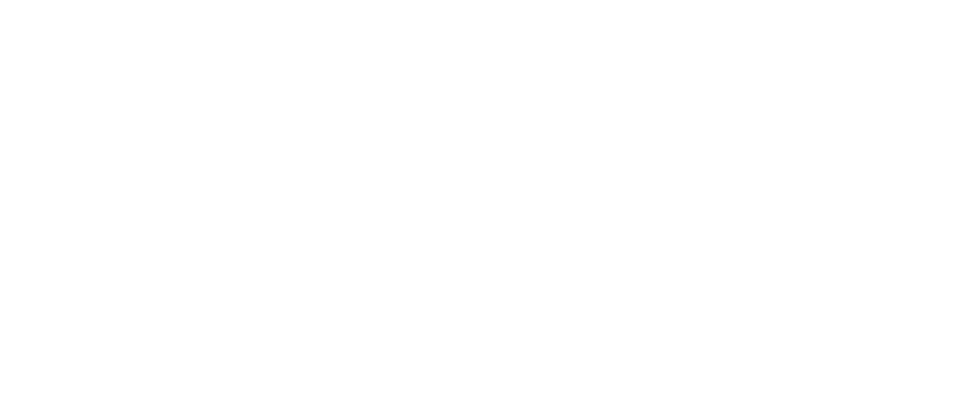 ツヴェトノイ・ミール株式会社