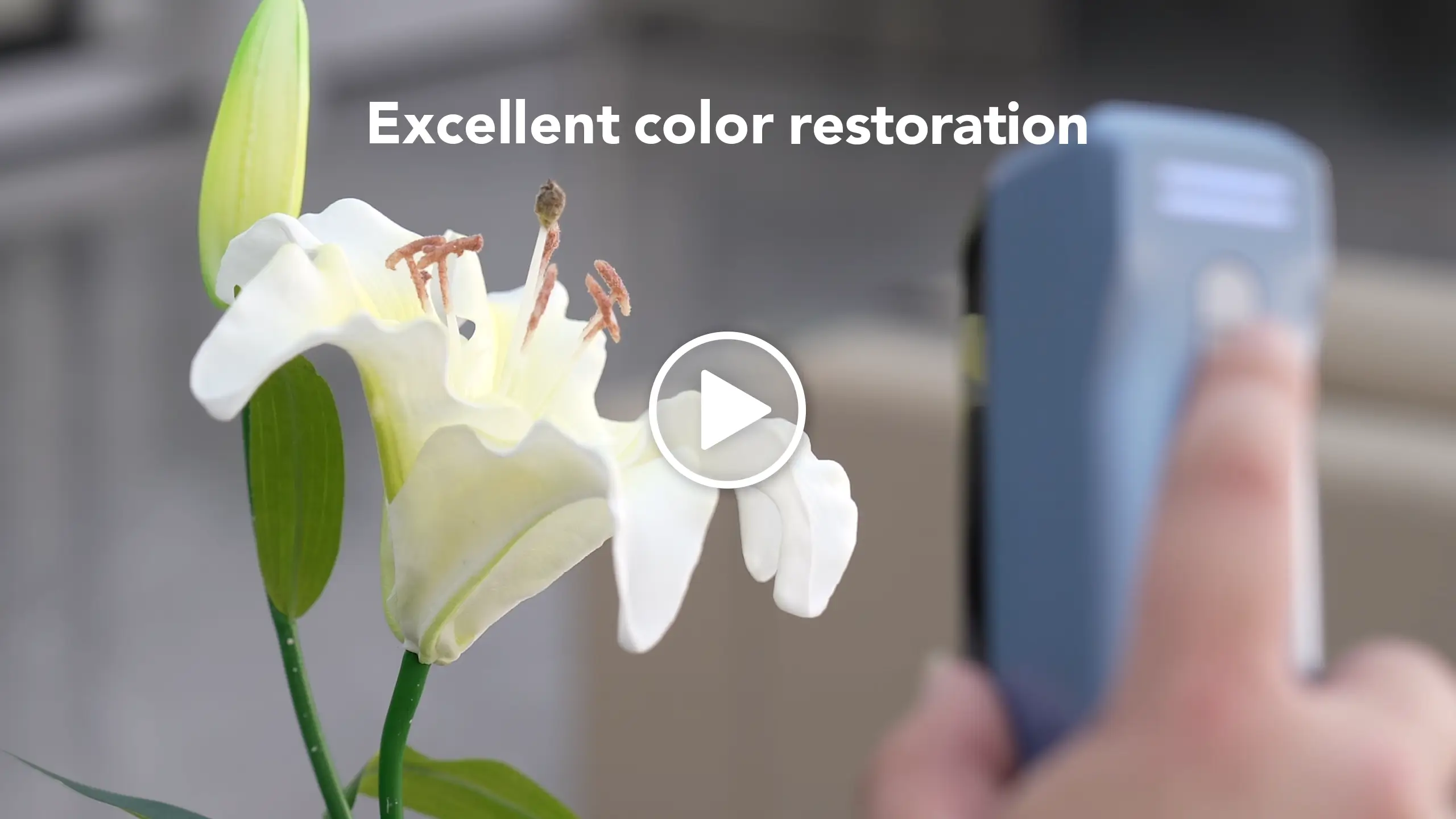EINSTAR 3D scanner capturing a lily in a vase with excellent color restoration.