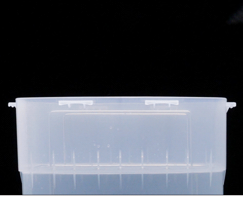 Model on a 10-inch build plate being dunked directly into the Phrozen Wash & Cure Kit wash station.