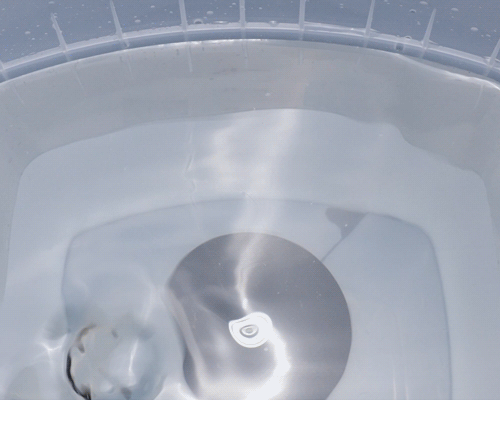 Water vortex inside the Phrozen Washing Station cleaning a resin 3D printed model delicately without damaging details.