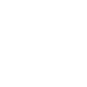 Live-Monitoring to Check Progress Icon
