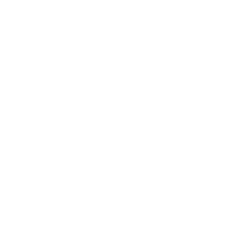Leveling 