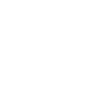 Budget-Friendly Entry Level 3D Printer Icon.